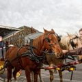 Stratford Heritage downtown carriage rides