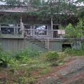 An Off-Grid Muskoka Cottage Built from Scratch