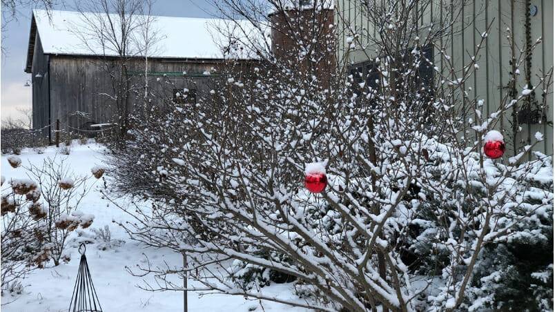 Just a few ornaments really brighten up the exterior. | PHOTO Danielle French