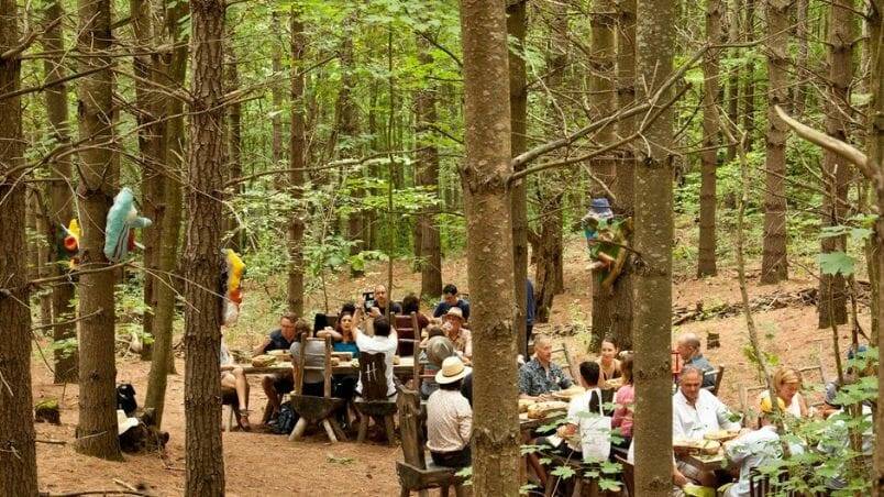 Feast in the Woods and 5 More Unique Outdoor Dining Experiences