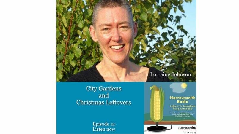 City Gardens and Christmas Leftovers
