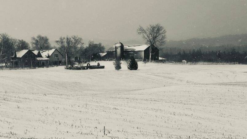 Holiday Traditions at South Pond Farm