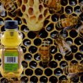 BeeMaid Honey | Sponsor | Harrowsmith Magazine