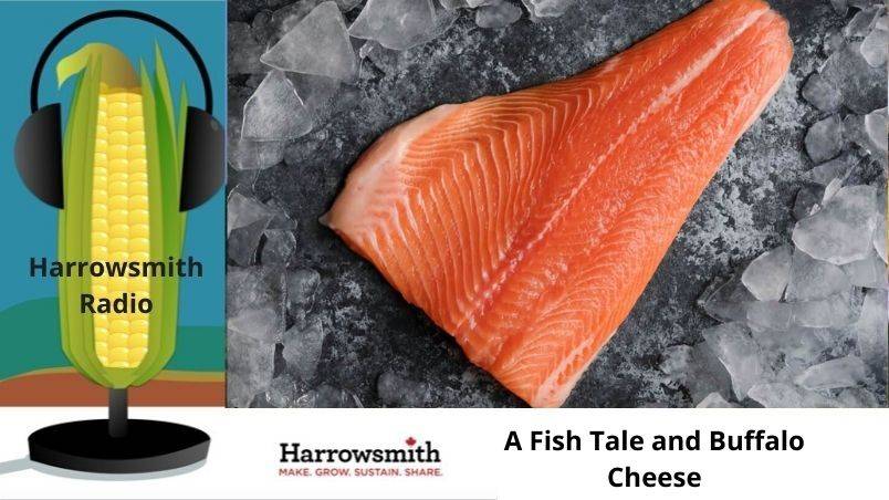A Fish Tale and Buffalo Cheese