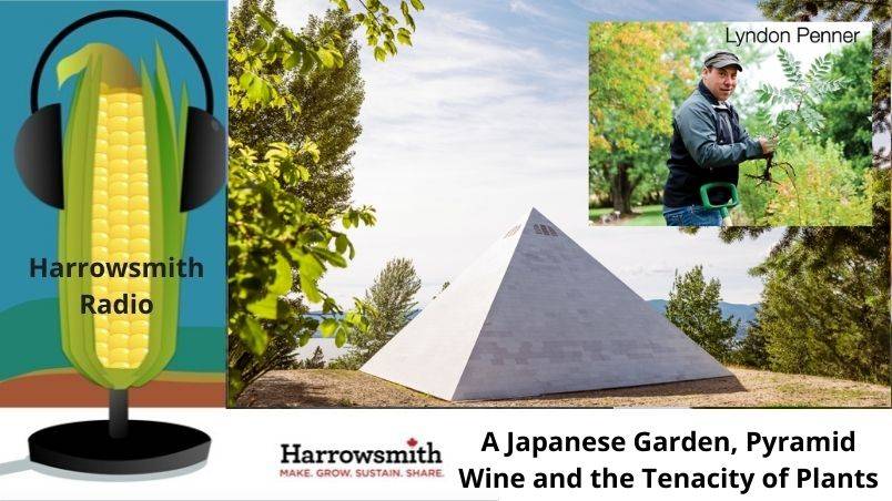 A Japanese Garden, Pyramid Wine and the Tenacity of Plants