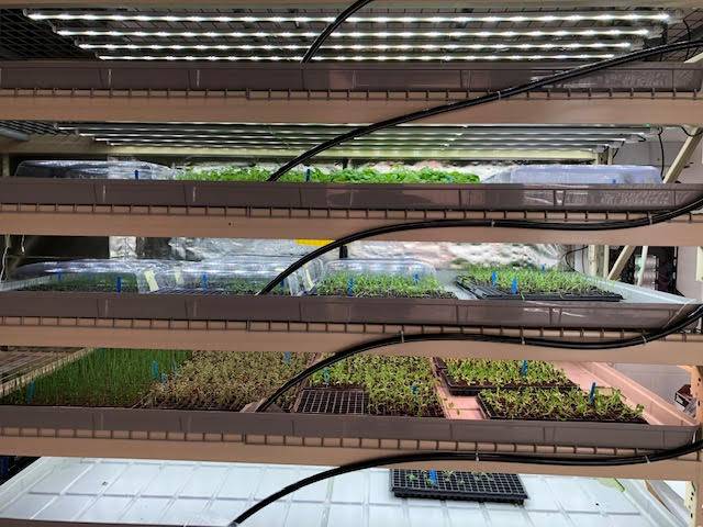 Aquaponics – Leading the Way