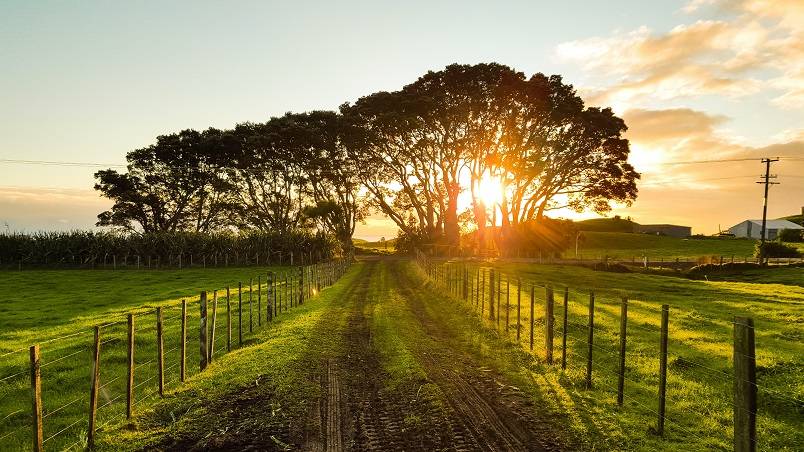 Why a Green Driveway is Environmentally Sexy