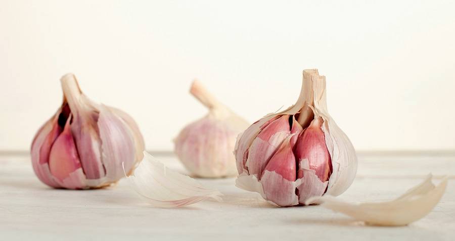 Fall is Garlic-Planting Time