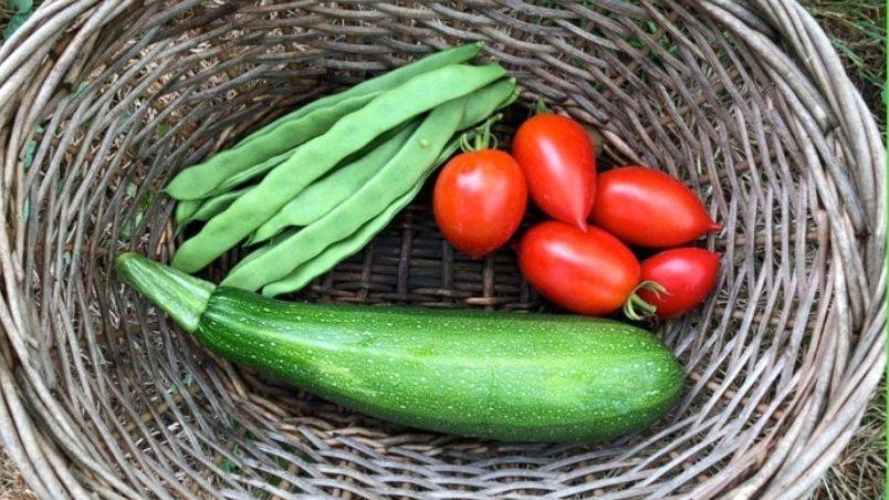 9 Tasty Ways to Sneak Zucchini into Your Meals