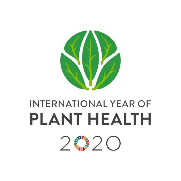 UN Year of Plant Health logo