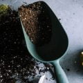 Potting soil and spade | Harrowsmith Magazine