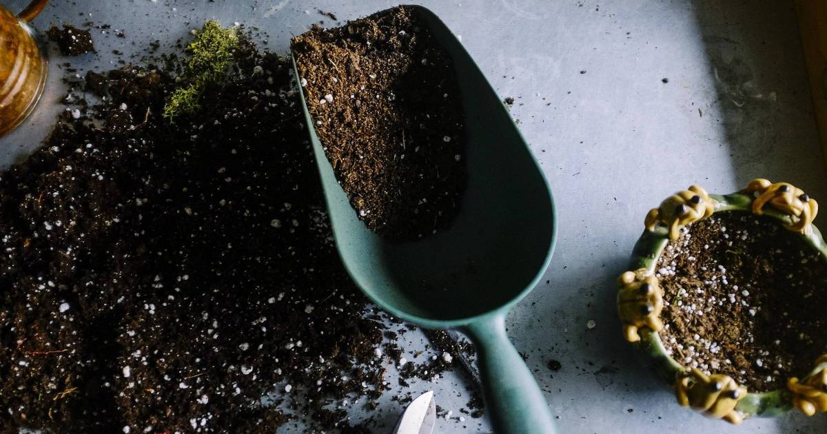 Potting soil and spade | Harrowsmith Magazine