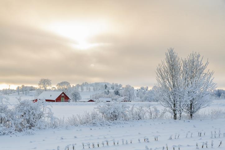 Winter Solstice 2021 and Winter Weather Highlights