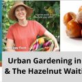 Urban Gardening in Toronto & The Hazelnut Waiting Game