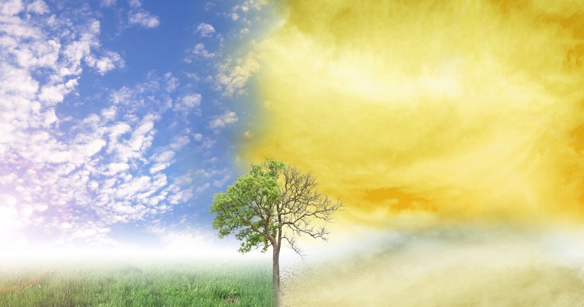 Get Ready Canada, El Niño is Back