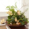 How to Make a Living Centrepiece