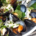 Mussels Martini