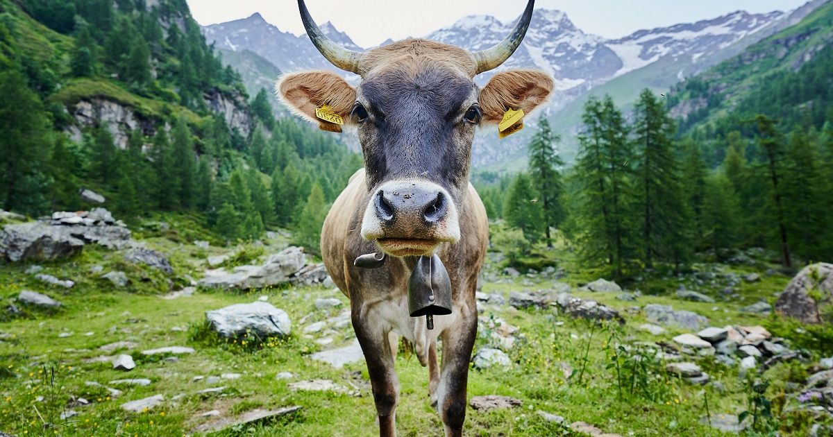 Oh, the Places You’ll Go