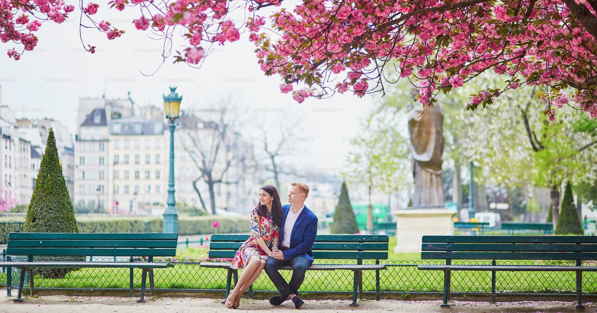 The Canadian Guide to Finding Your “Ikigai”