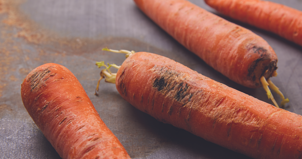 Turn This…Into This