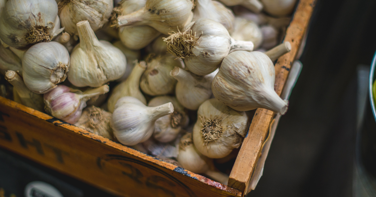 Growing Garlic