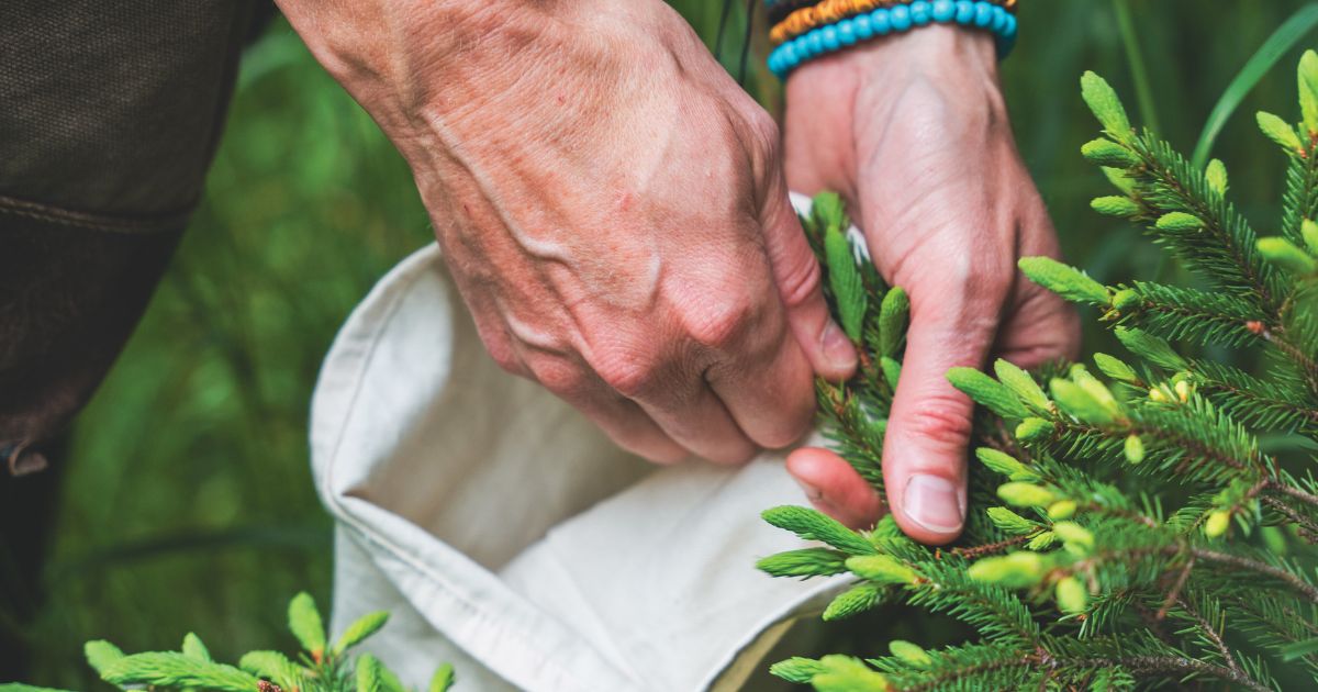 The Roots of our Connection