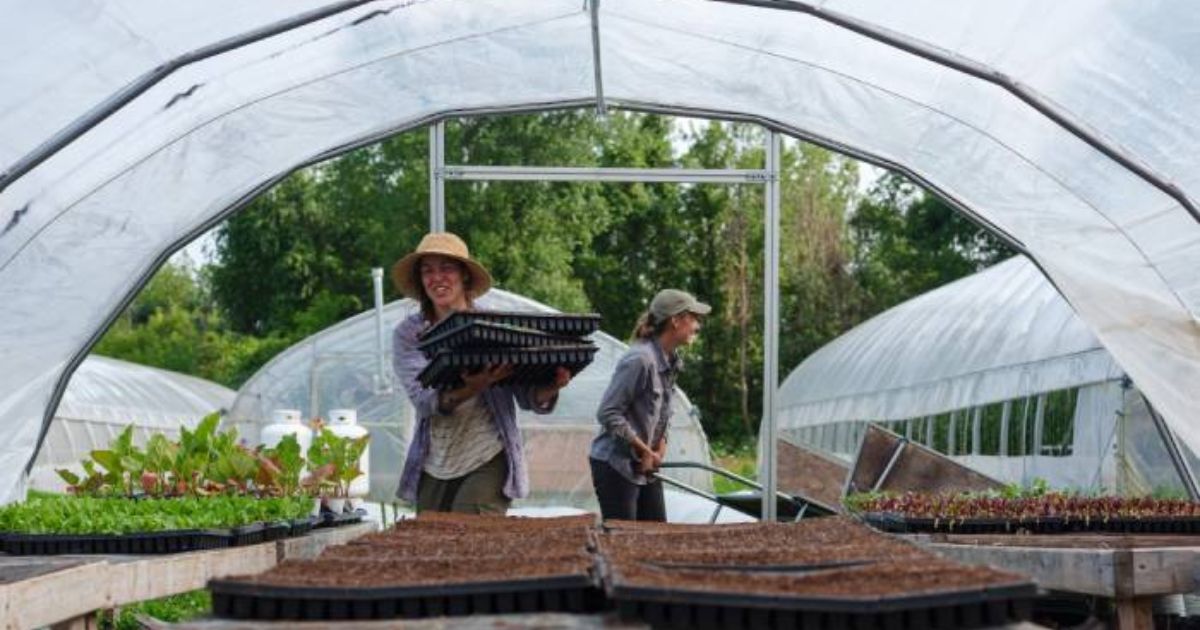 5 Tips for Starting a Biointensive Small-Scale Farm