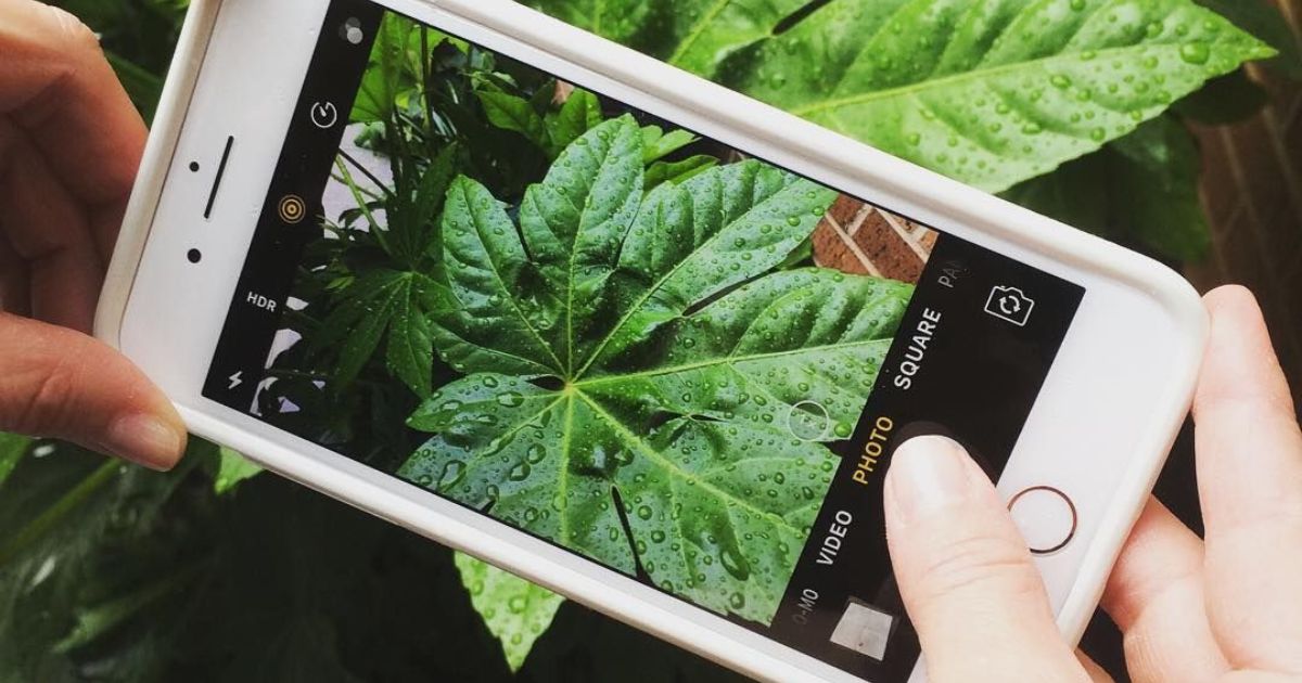 There’s an App for That