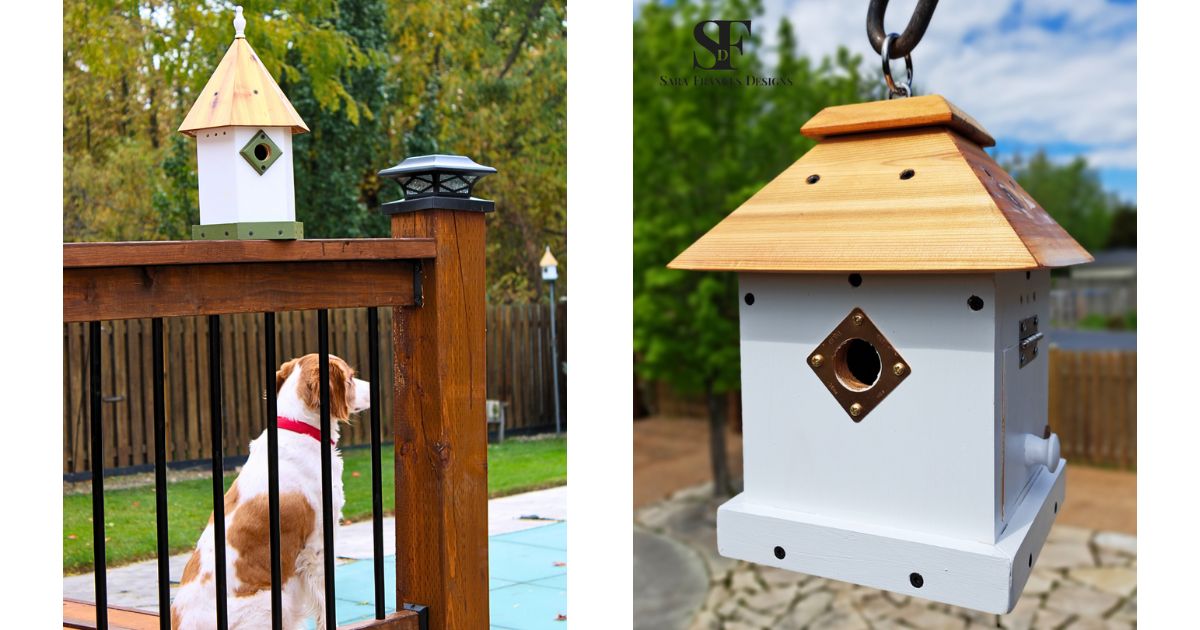 Some of the Collective Nouns Assigned to Birds