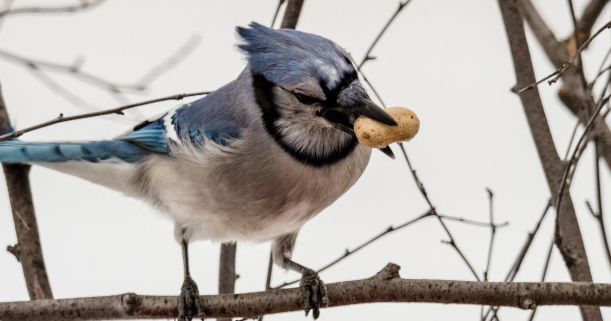 A Spooky & Scenic Autumn Road Trip to Remember