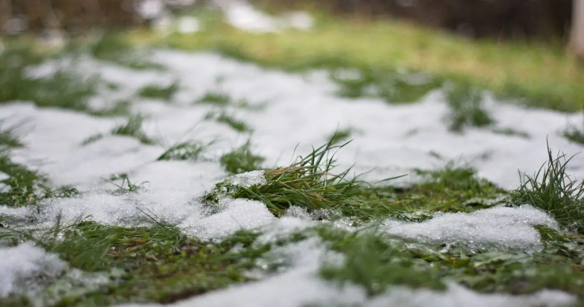 April 2026 Weather Forecast