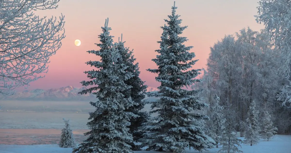 January 2026 Astronomy