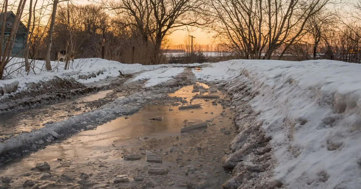 Seasonal Weather Predictions for Spring 2026