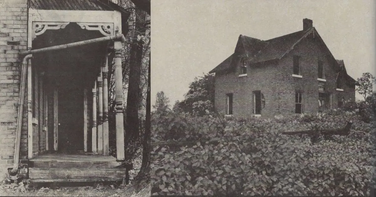 McCallum’s Country