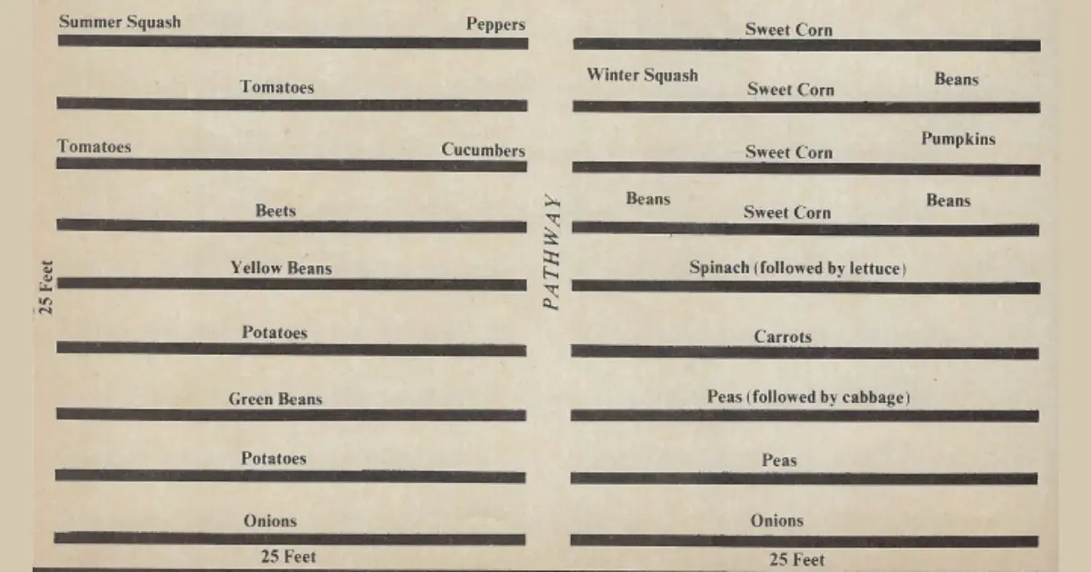 A Serious Food Garden For 2