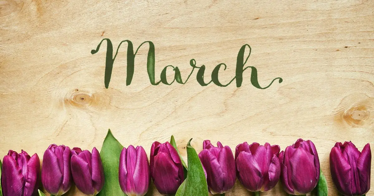 All About March