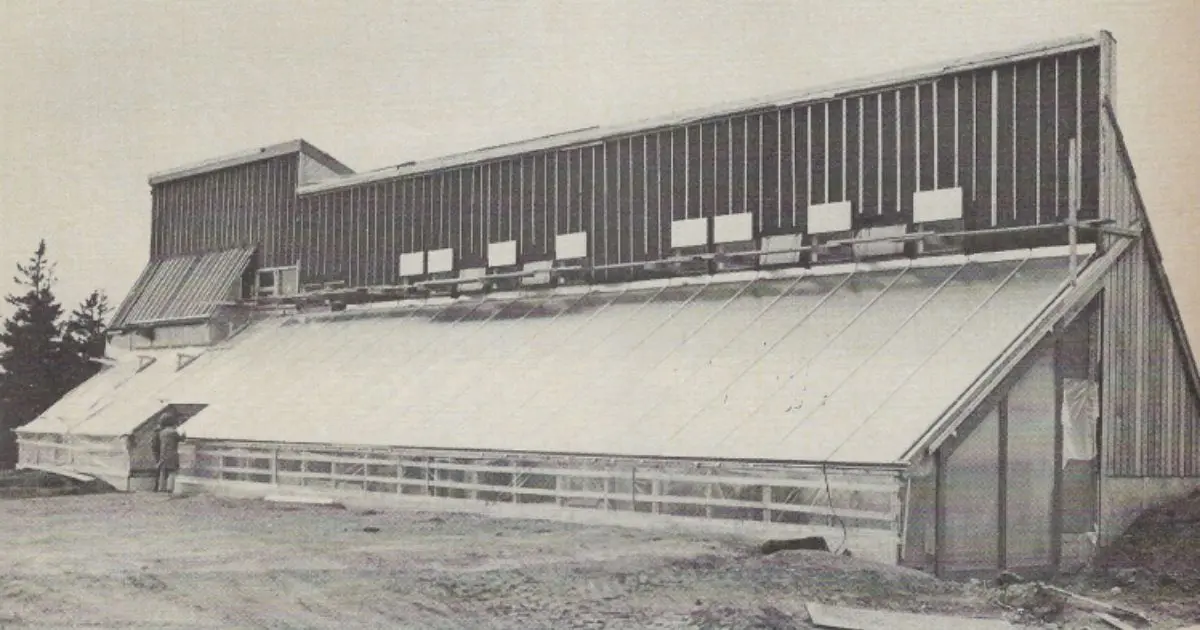 Prince Edward's Ark 4